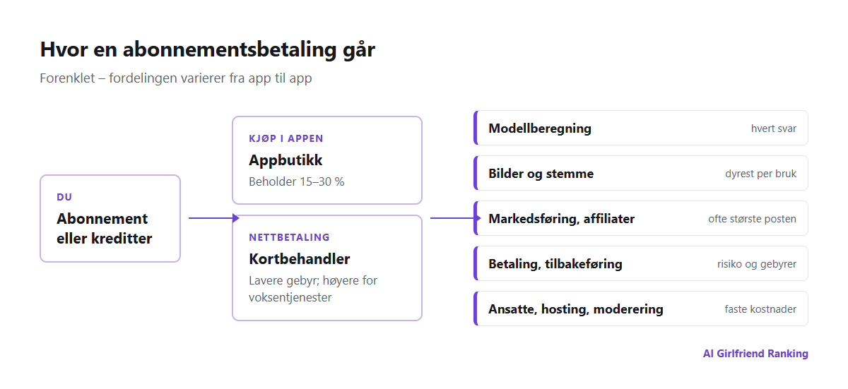 Diagram over pengestrømmen i en AI-følgesvenn-app: brukeren betaler via en appbutikk eller nettbetaling, butikken tar provisjon, og selskapet betaler for modellberegning, bilde- og stemmegenerering, betalingsbehandling, affiliateprovisjoner og ansatte